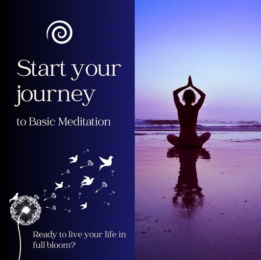 🧘🏻‍♀️ Aprende meditación básica